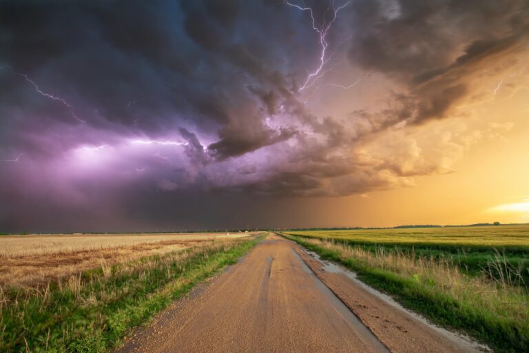Stunning photo of a thunderstorm with lightning over a wheat field and dirt road in Oklahoma.